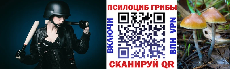 Псилоцибиновые грибы Cubensis  Купить закладки  Отрадное 